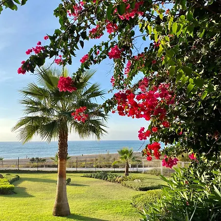 Sunshine Front Complex, Wifi, Modern Apartment