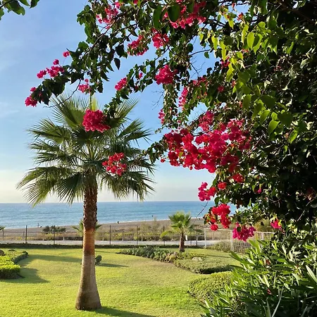 Apartamento Sunshine Front Complex, Wifi, Modern *